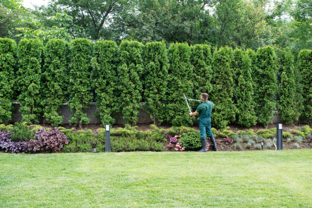 Best Weed Control  in North Ballston Spa, NY