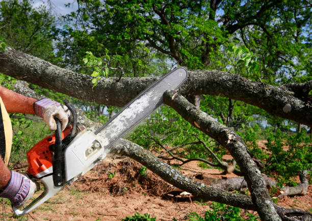 Best Soil Testing and Treatment  in North Ballston Spa, NY